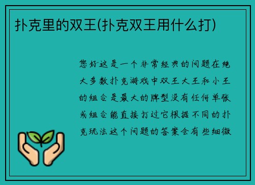 扑克里的双王(扑克双王用什么打)